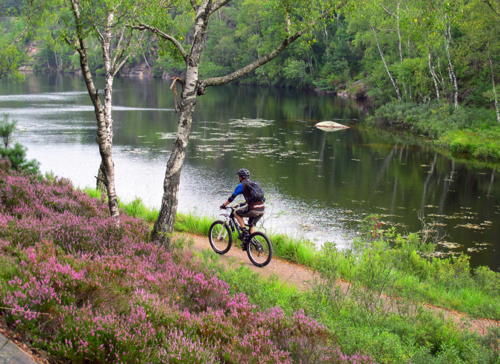 a man rides a bike alongside a serene lake.